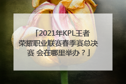 2021年KPL王者荣耀职业联赛春季赛总决赛 会在哪里举办？