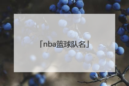 「nba篮球队名」nba篮球队名大全及标志勇士队